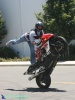 GSXR-1000 - Flamingo